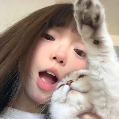 世界街头女斗士3